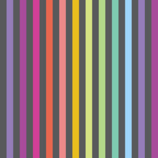 Tula Disco Stripe - CARBON