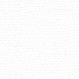 Dear Stella Moonscape Basic - MARSHMALLOW - 1/4 YARD